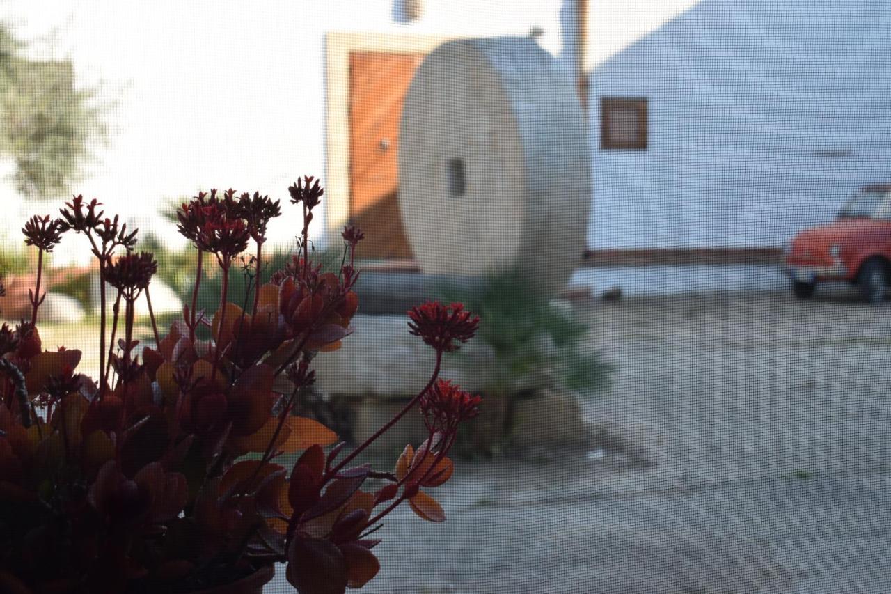 Villa Casa dell'Olio - Al Baglio Paceco Esterno foto